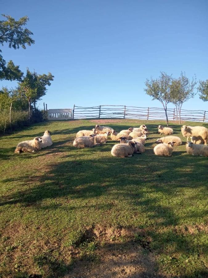 Chez Marthe, Organic Farm Stay Knin Exterior photo